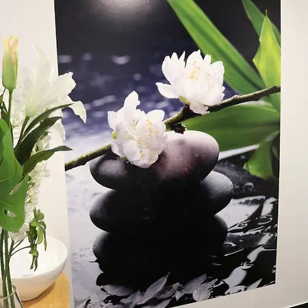 Donosti Aldea Lasarte Oria