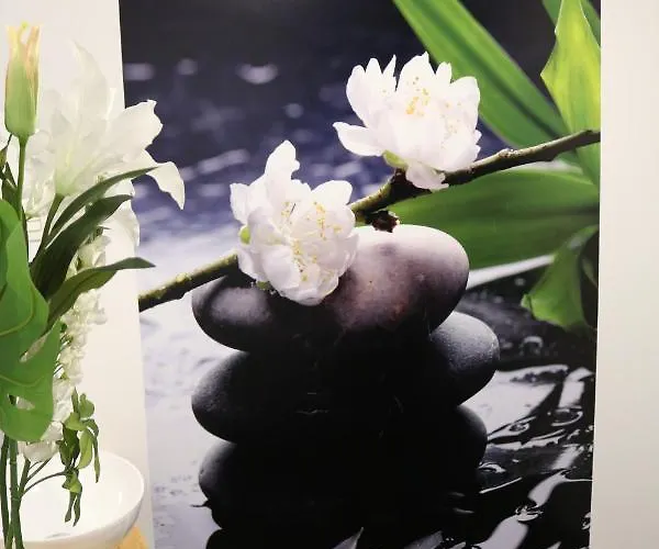 Donosti Aldea Lasarte Oria